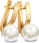 428bfc4c 1.png